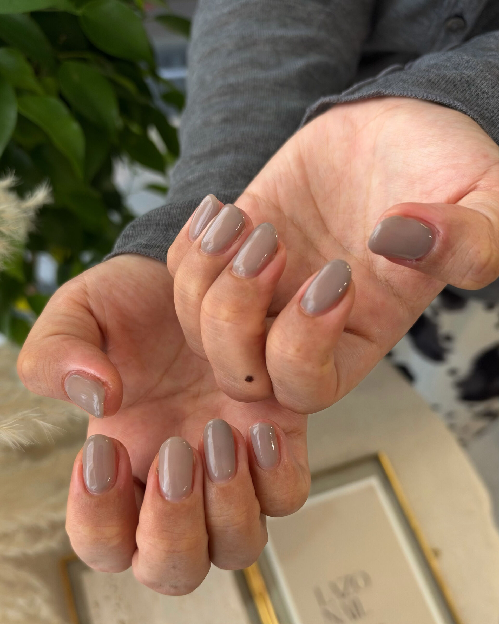 🤎 Sheer color one color